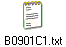 B0901C1.txt