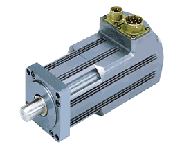Brushless Rotary Servo Motors