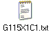 G115X1C1.txt